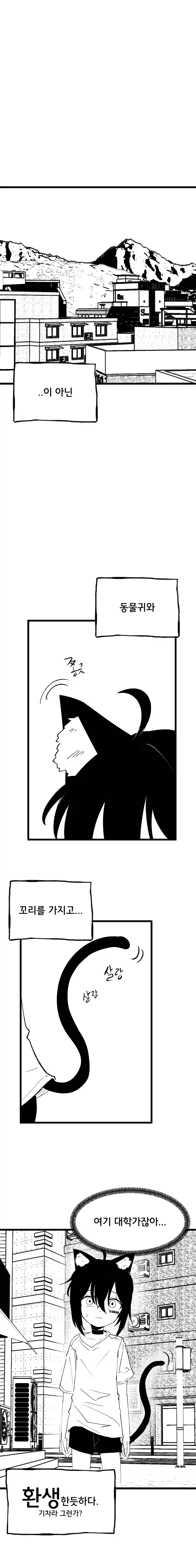 고양이 귀 수인으로 환생한 Manhwa (약 스압)_2.webp