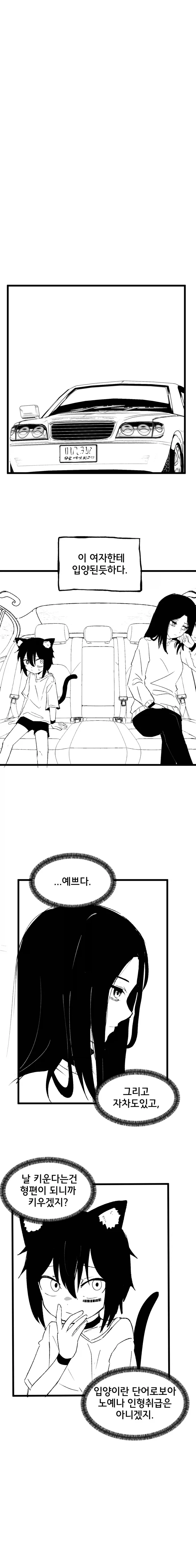 고양이 귀 수인으로 환생한 Manhwa (약 스압)_11.webp