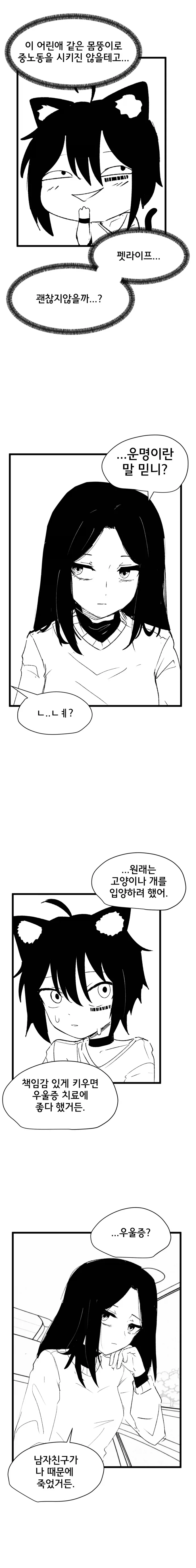 고양이 귀 수인으로 환생한 Manhwa (약 스압)_12.webp