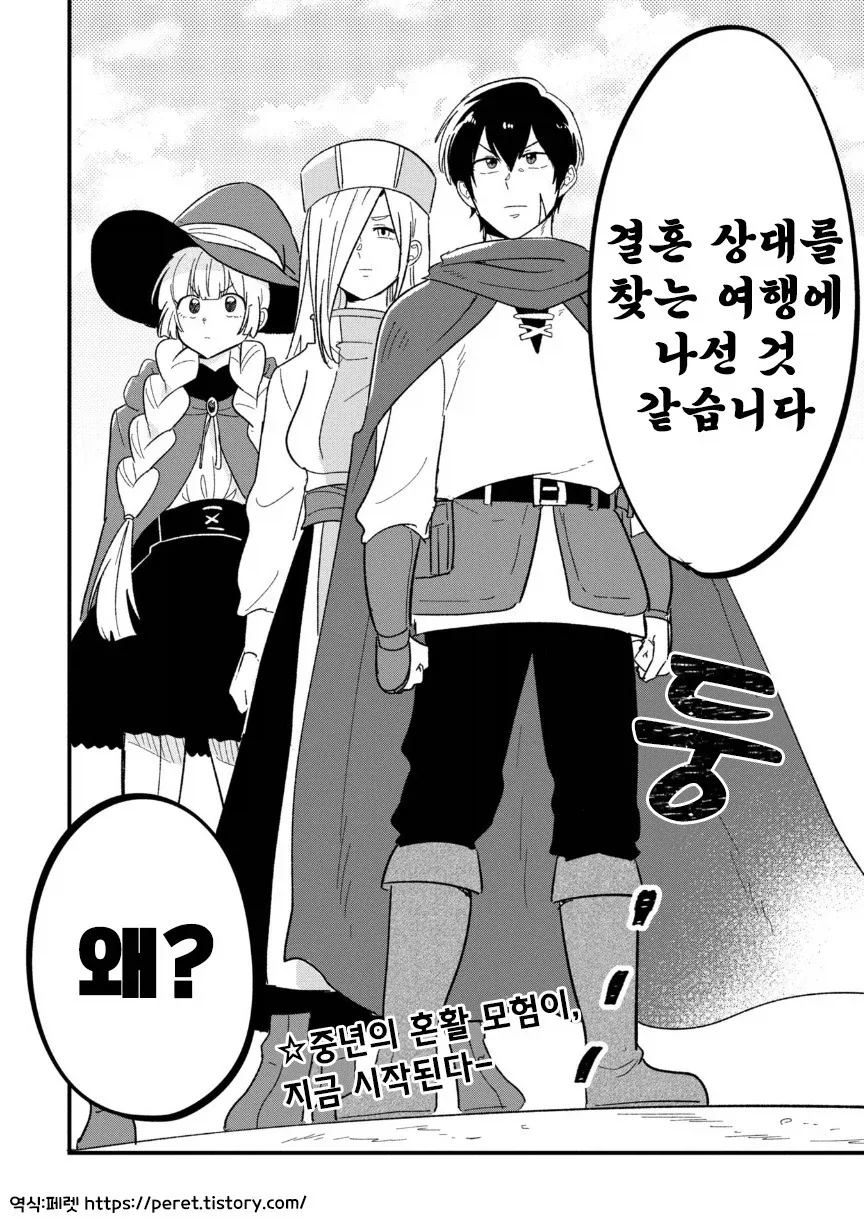 용사(35)네 파티가 결혼 상대를 찾는 모험을 떠나는.manhwa_17.webp