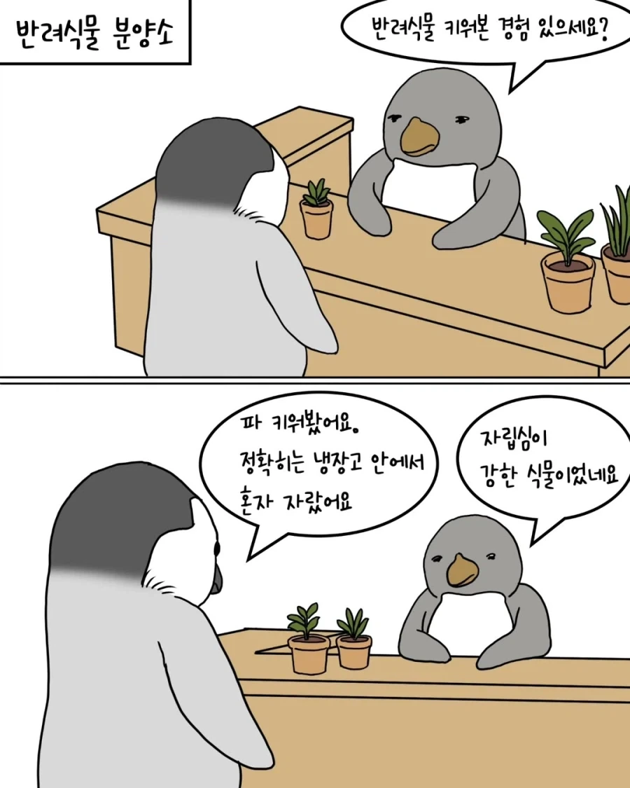 헌터x헌터) 어처구니가 없단 말밖에 안나오는 놈 이미지 9