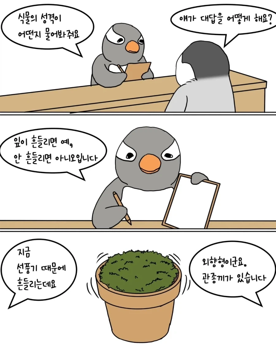 펭귄들이 반려식물 분양받는 만화.manwha_3.webp