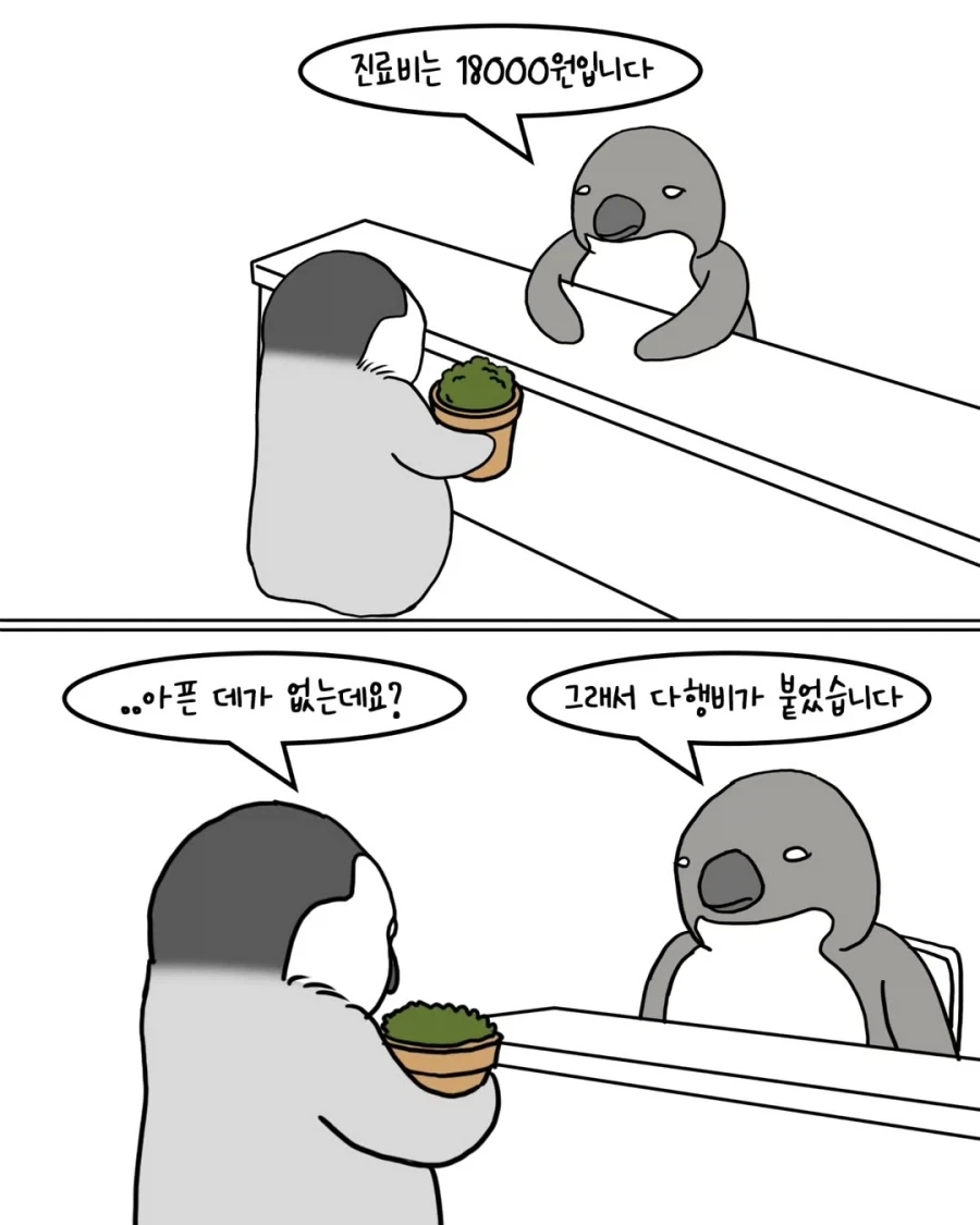 펭귄들이 반려식물 분양받는 만화.manwha_7.webp