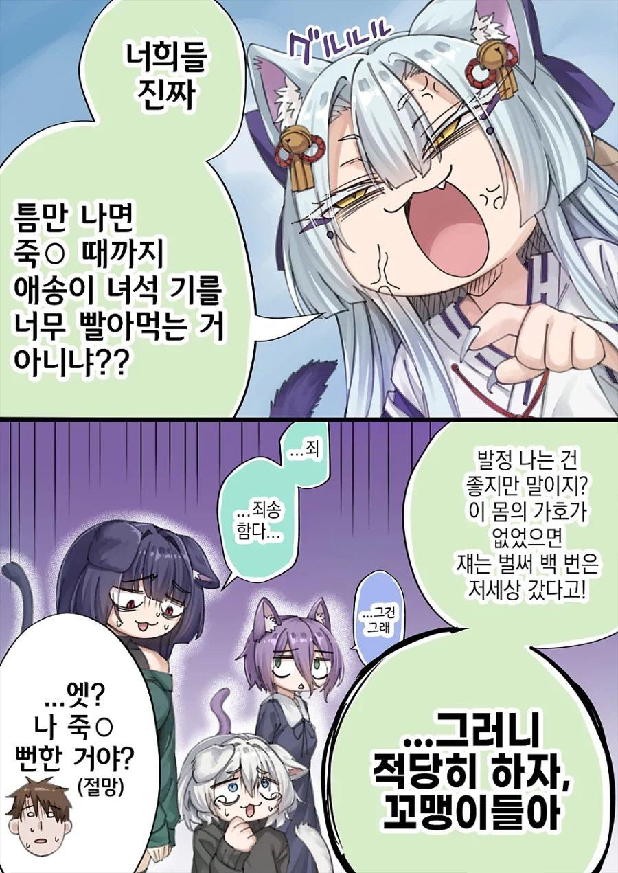 고양이 신령님.manhwa_10.webp