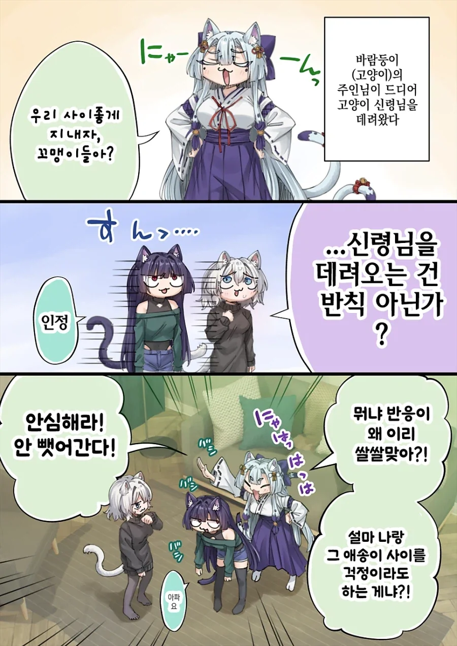고양이 신령님.manhwa_11.webp