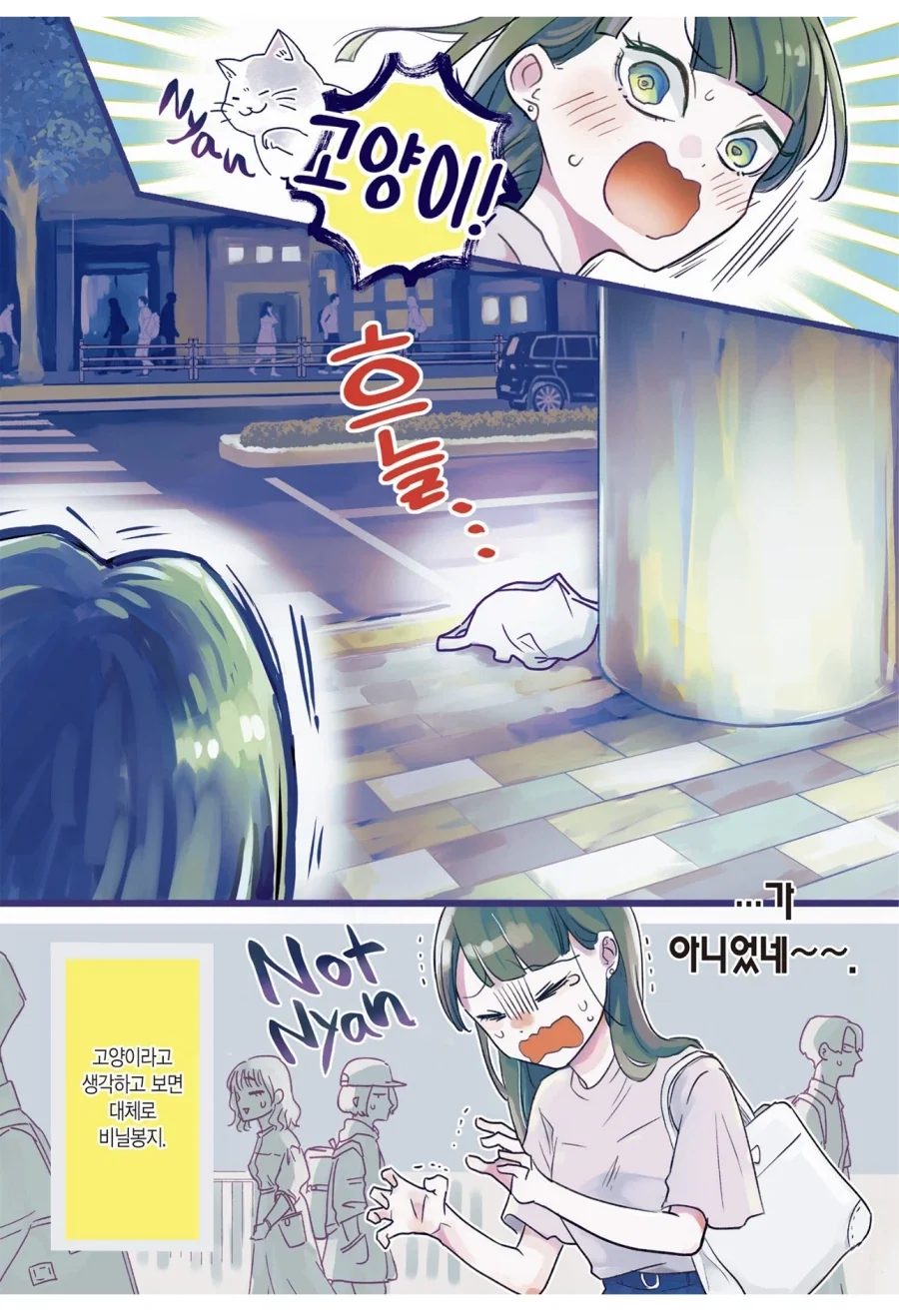 고양이를 키우지 못하는 집에서 고양이를 키우는 법_2.webp