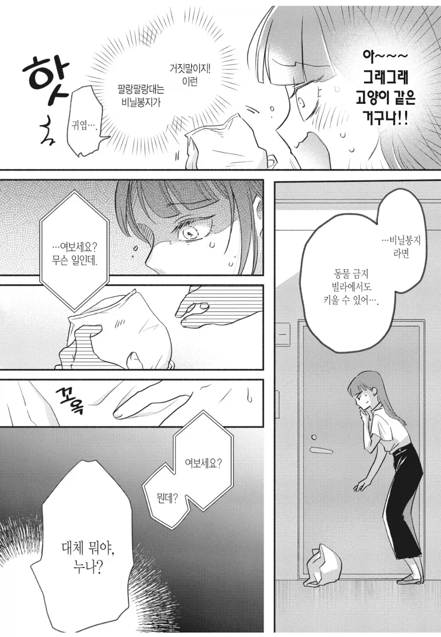 고양이를 키우지 못하는 집에서 고양이를 키우는 법_3.webp