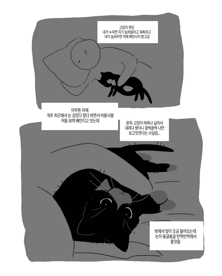 안드로이드가 갑자기 집으로 배달되는 클리셰.manga 대표 이미지