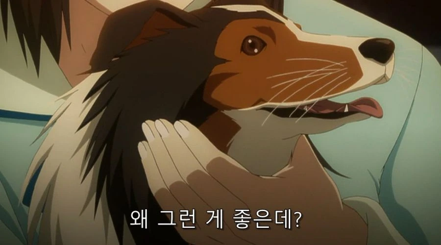근친이 왜 좋냐고 물어봤을 때 돌아온 대답_16.jpg