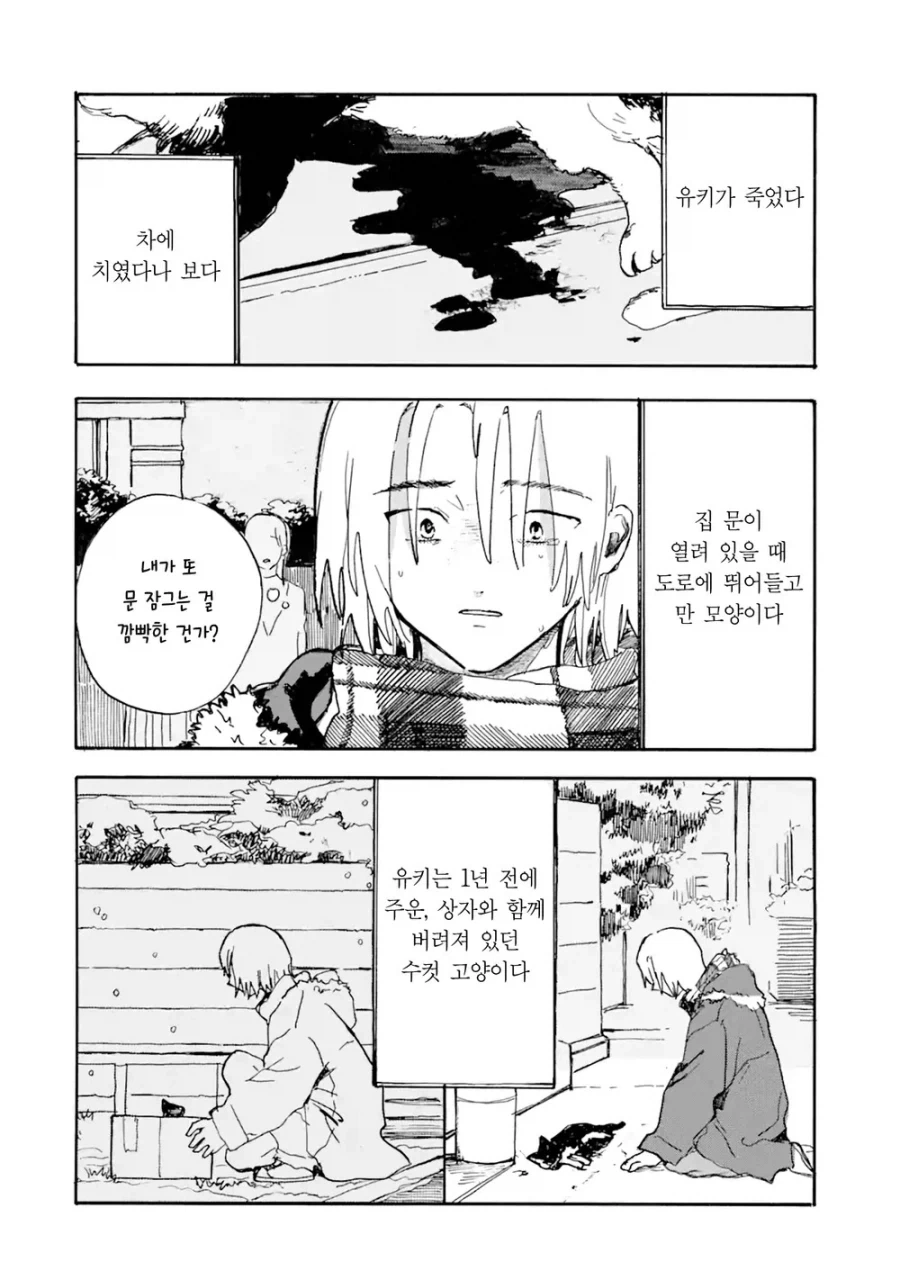 죽은 고양이가 인간이 되서 돌아온.manga_2.webp