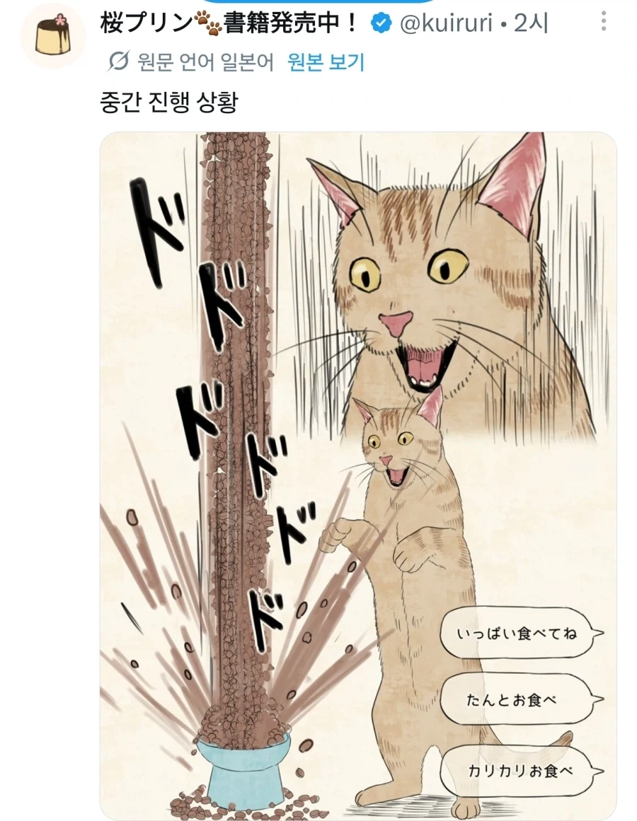 좋아요에 사료받는 고양이.jpg_2.webp