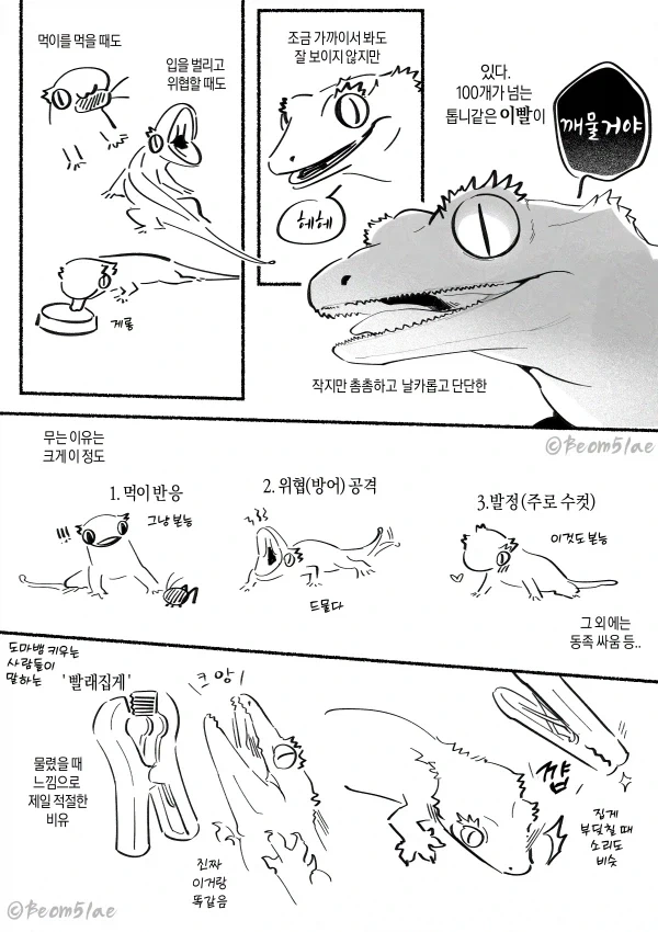 코스믹호러 성녀 만화에서 치료된 악역 영애 이미지 15