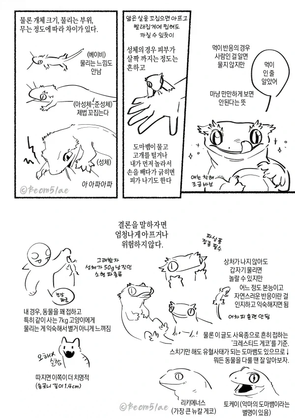 도마뱀한테 물리는 만화_2.webp