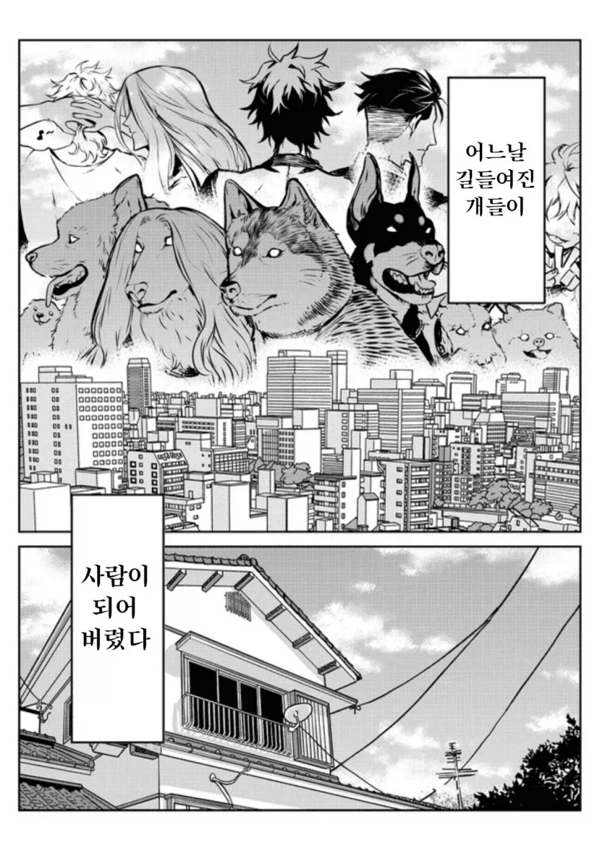 브라질미쿠 : 일본미쿠 고생많았다, 나에게 맡겨라.jpg 대표 이미지