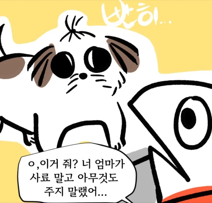 시츄는 얼마나 착한가 알아보는 만화_3.webp