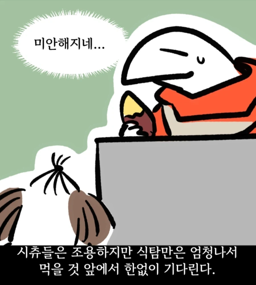 시츄는 얼마나 착한가 알아보는 만화_4.webp