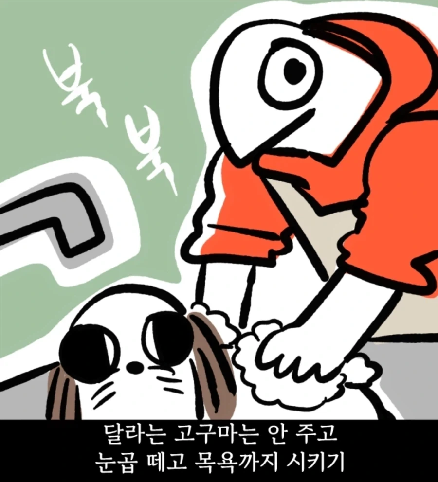 시츄는 얼마나 착한가 알아보는 만화_8.webp