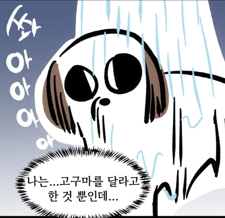 시츄는 얼마나 착한가 알아보는 만화_9.webp