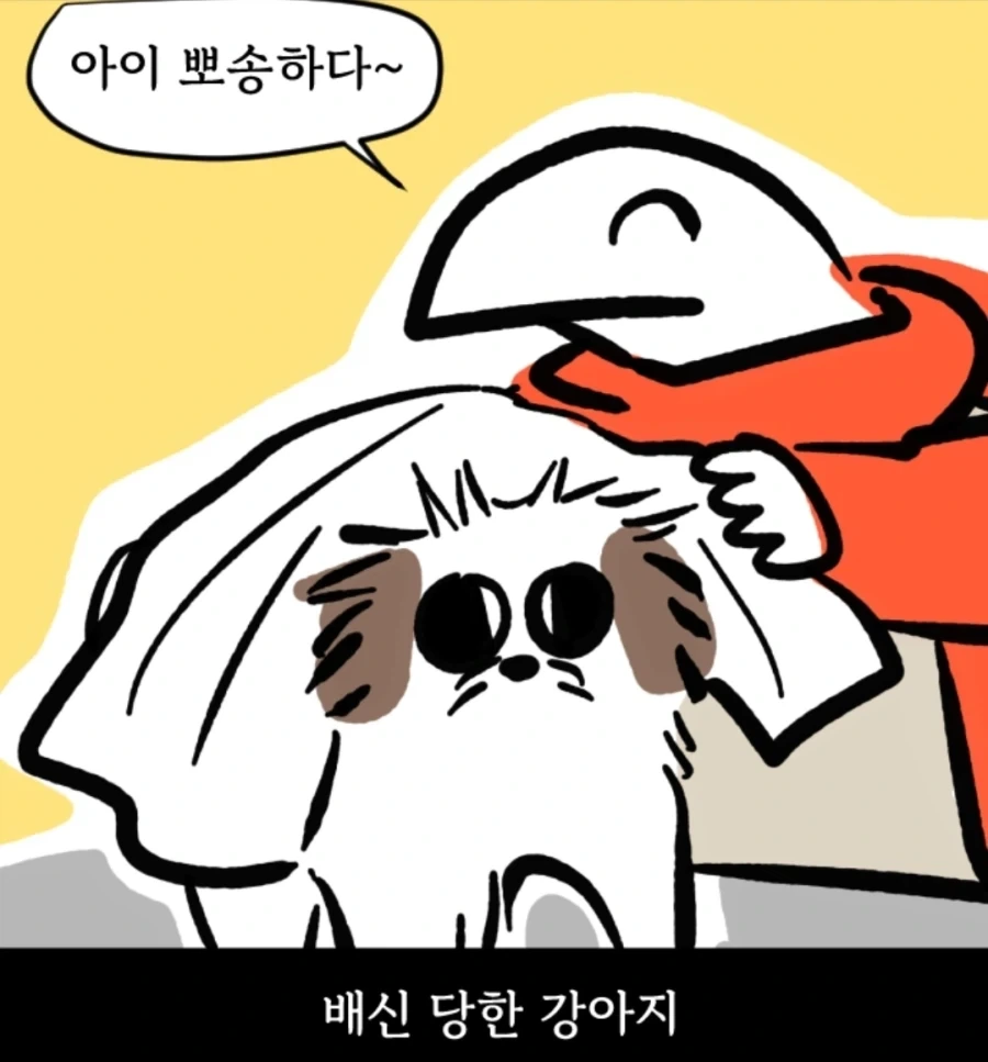시츄는 얼마나 착한가 알아보는 만화_10.webp
