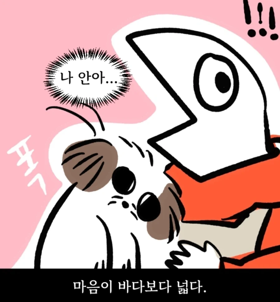시츄는 얼마나 착한가 알아보는 만화_12.webp