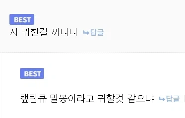 [와피스]