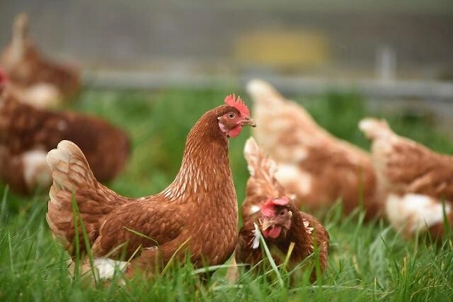 ㅋㅋㅋㅋㅋㅋㅋ 이거ㅋㅋㅋㅋㅋ 사슴임ㅋㅋㅋㅋㅋㅋㅋㅋㅋㅋ_35.jpg