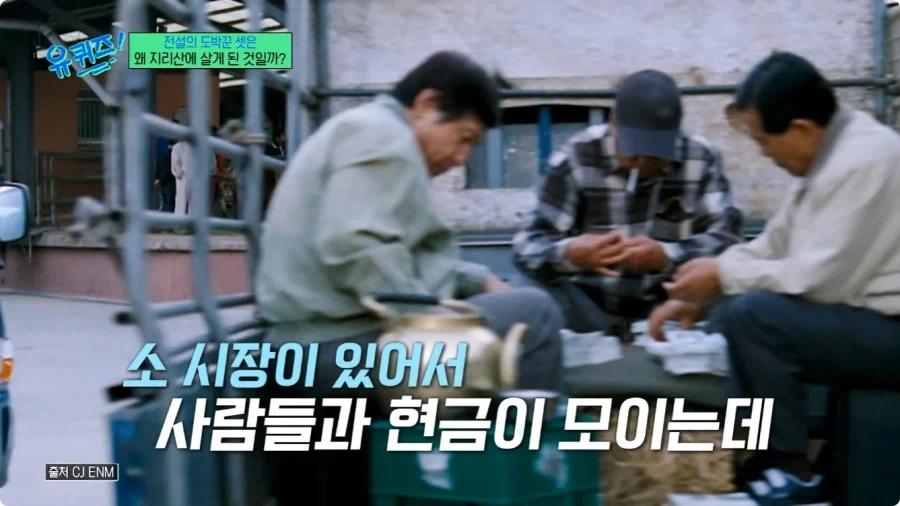허영만 만화 타짜 연재 비화.jpg_22.webp