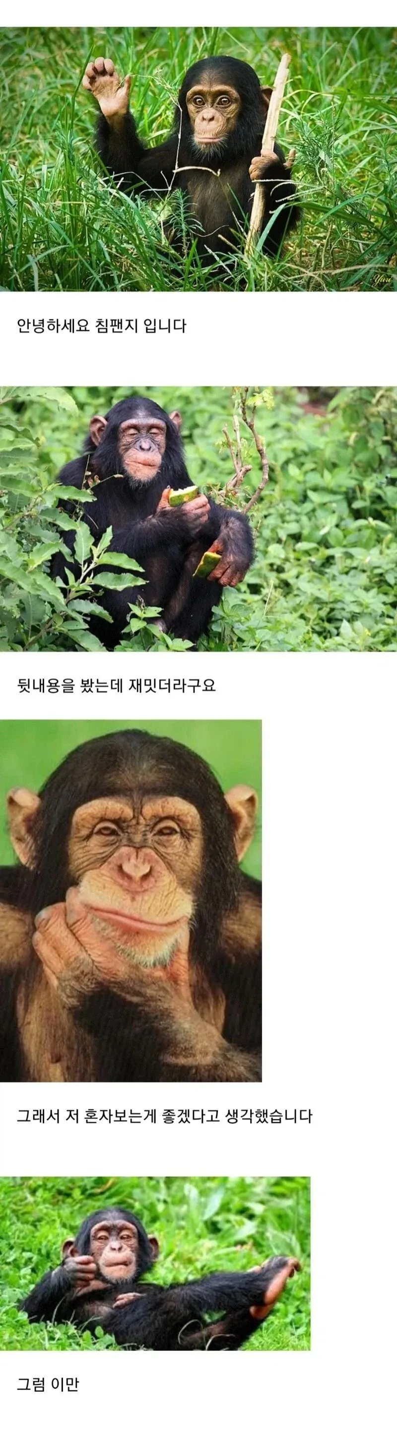 모유가 피해지원금 만화.jpg_5.webp