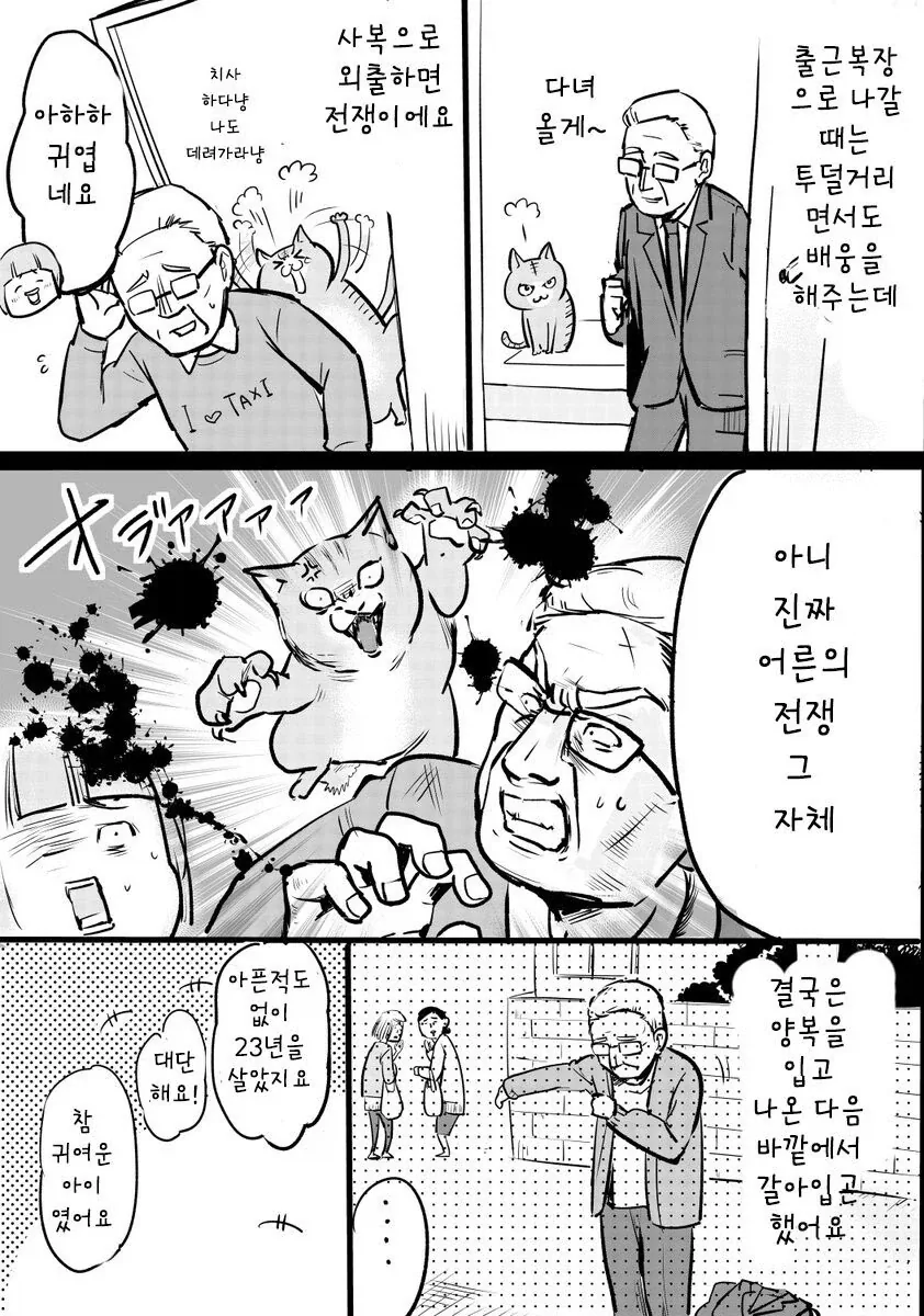 고양이 한 마리를 23년동안 키운 택시 운전사.manhwa_2.webp