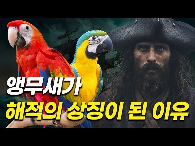 원피스) 지금 떠돌아다니는 이무 = 앵무새론 모아봄 ㅋㅋㅋㅋㅋㅋㅋㅋㅋㅋ_10.webp