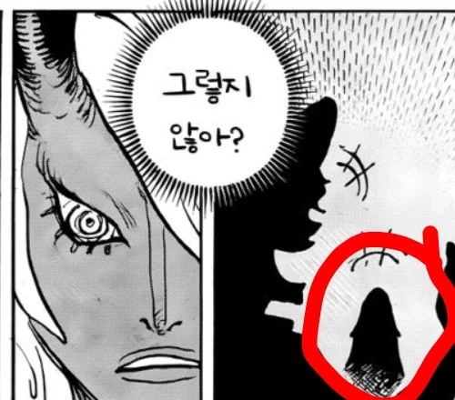 원피스) 지금 떠돌아다니는 이무 = 앵무새론 모아봄 ㅋㅋㅋㅋㅋㅋㅋㅋㅋㅋ_12.webp