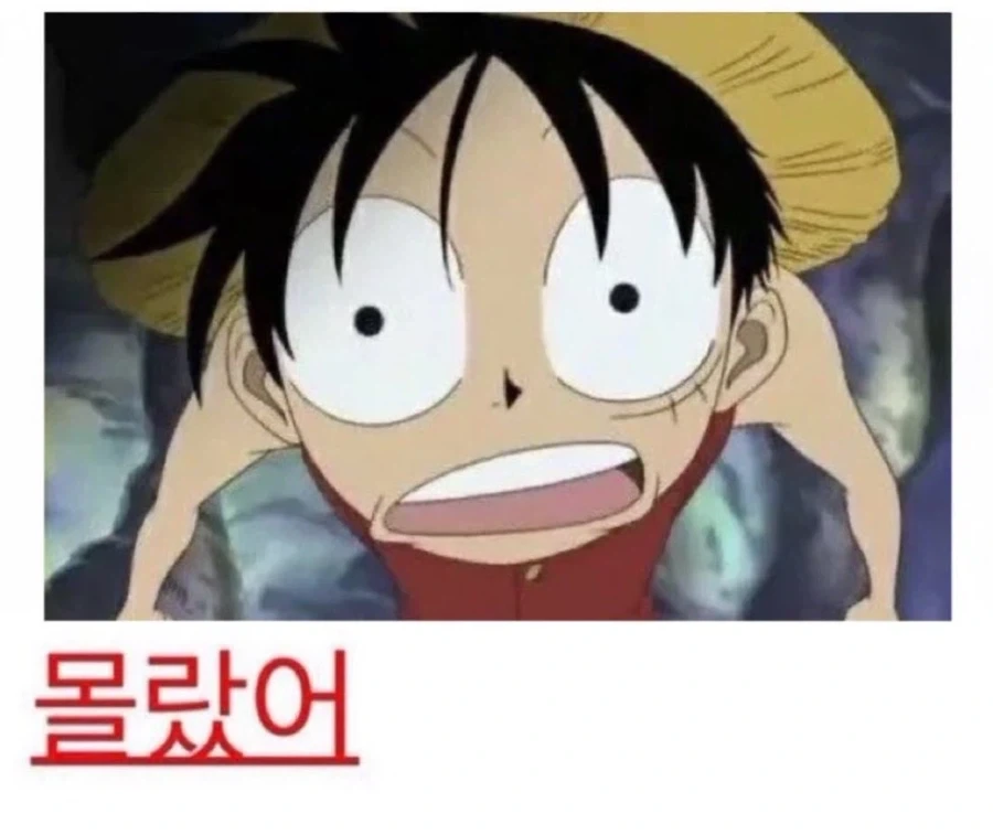 원피스)앵무새론이 맞는 과학적 이유.jpg_2.webp