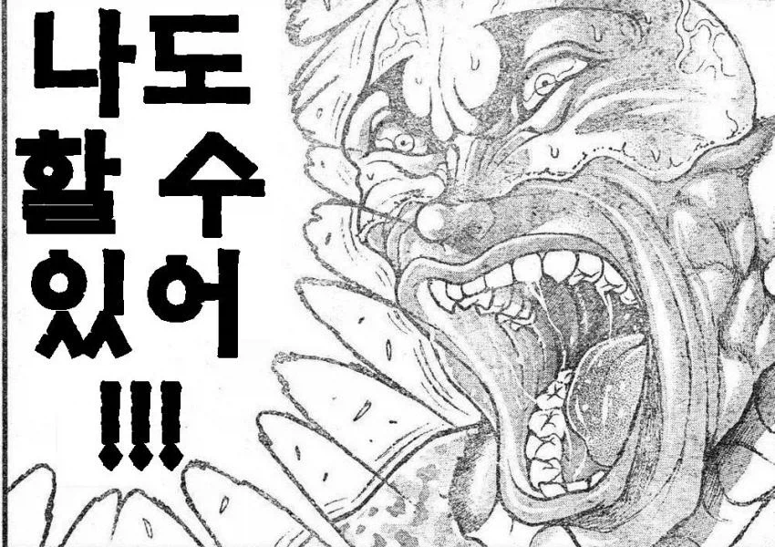 원피스)원피스를 찾지못한
