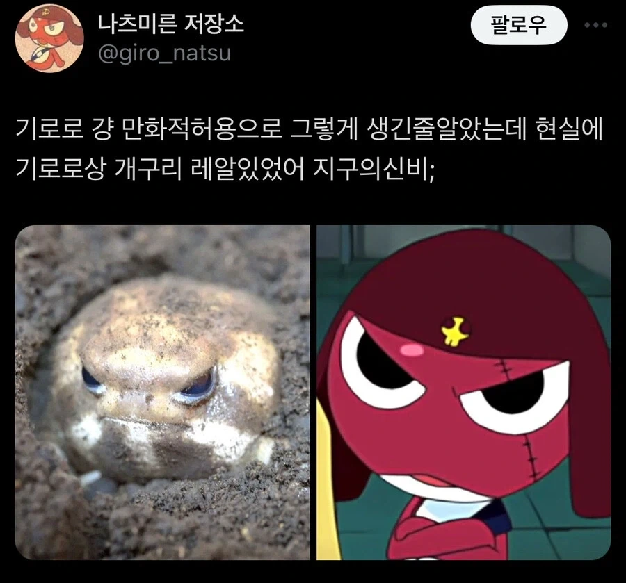 포켓몬)세계관의 게임.jpg 대표 이미지