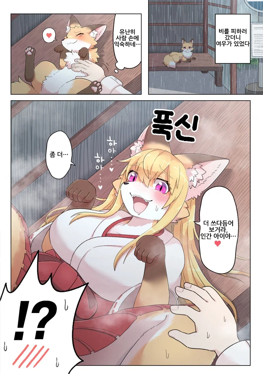 많이 수상한 여우무녀눈나 만화_3.webp