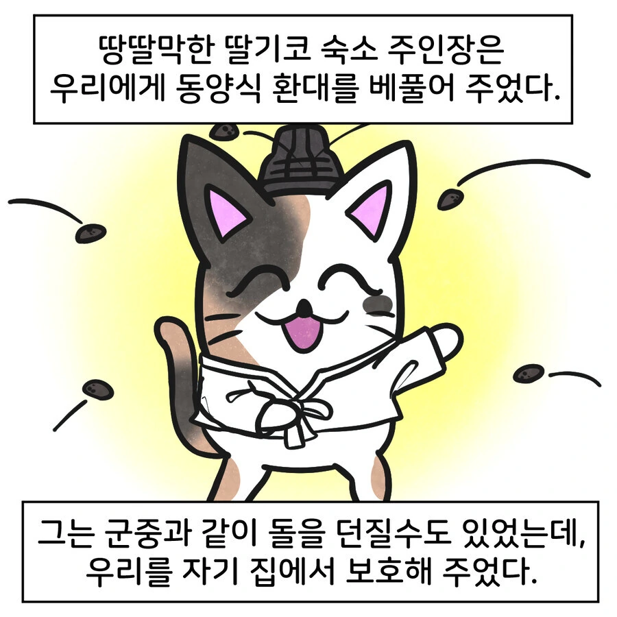 조선시대 대구에 온 외국인 만화..jpg_7.jpg