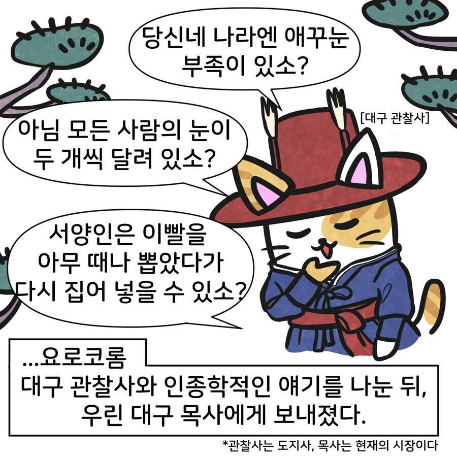 조선시대 대구에 온 외국인 만화..jpg_9.jpg