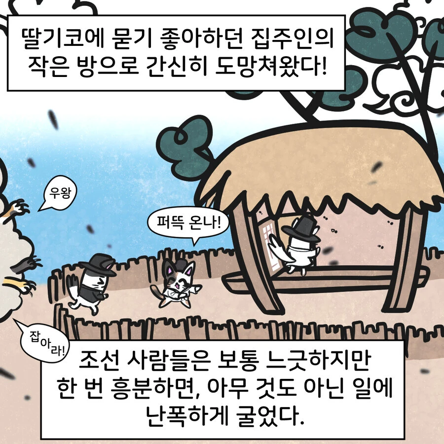 조선시대 대구에 온 외국인 만화..jpg_14.jpg