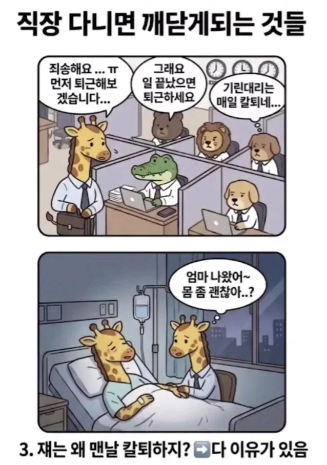 직장 다니면 깨닫게 되는 것들.manwha_3.webp