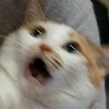 자두가르) 주인공네 나라가 몽골한테 침략당하는 만화라고?_4.webp