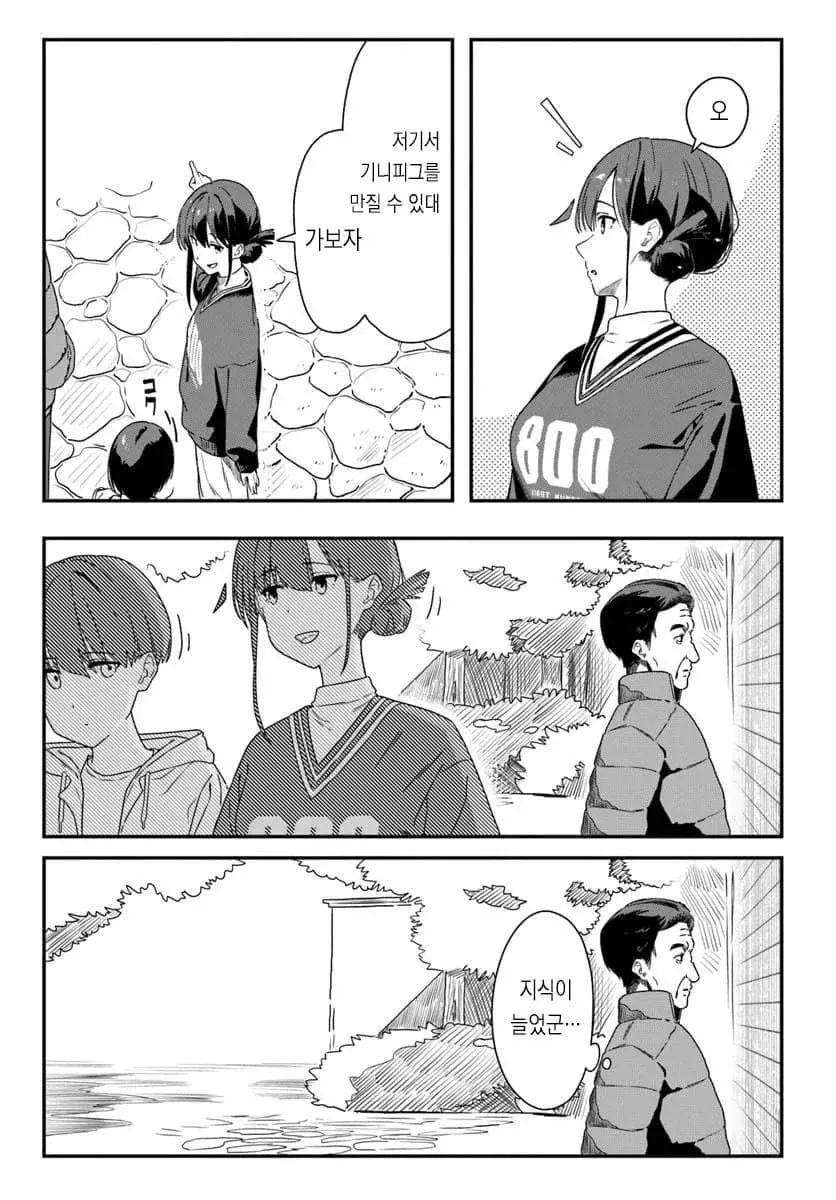 줄무늬 다람쥐 습성을 알려주는 .manhwa_3.webp