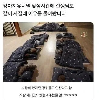 [@] 다음 정류장에서 내려야하는 코노미 이미지 3