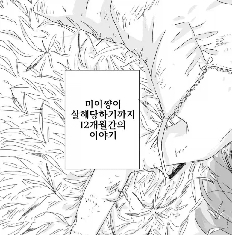 미이짱 만화 뭐임 이게 왜 애니화냐_2.webp