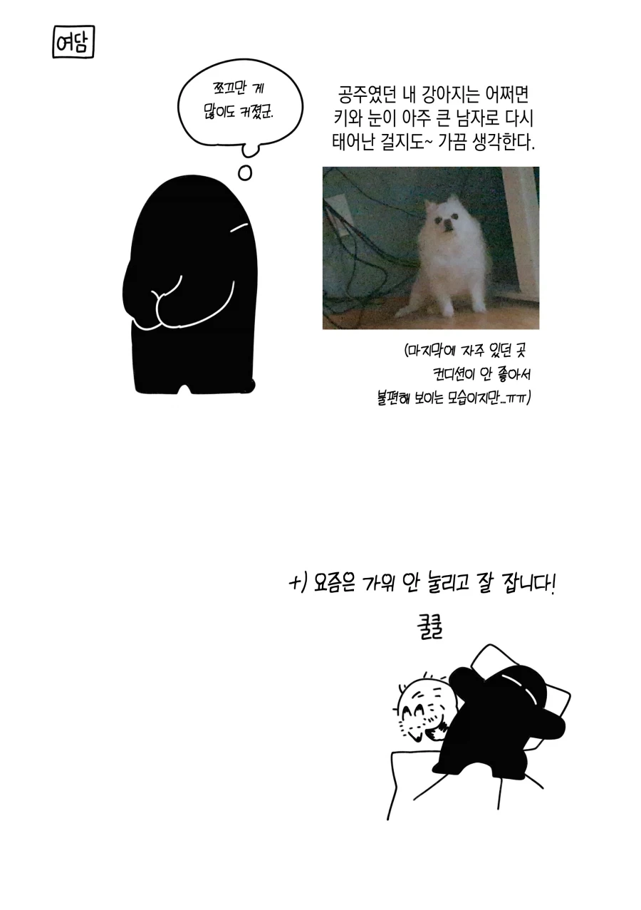 여름이니까 몇 년 전에 가위 눌렸던 이야기.manwha_6.webp