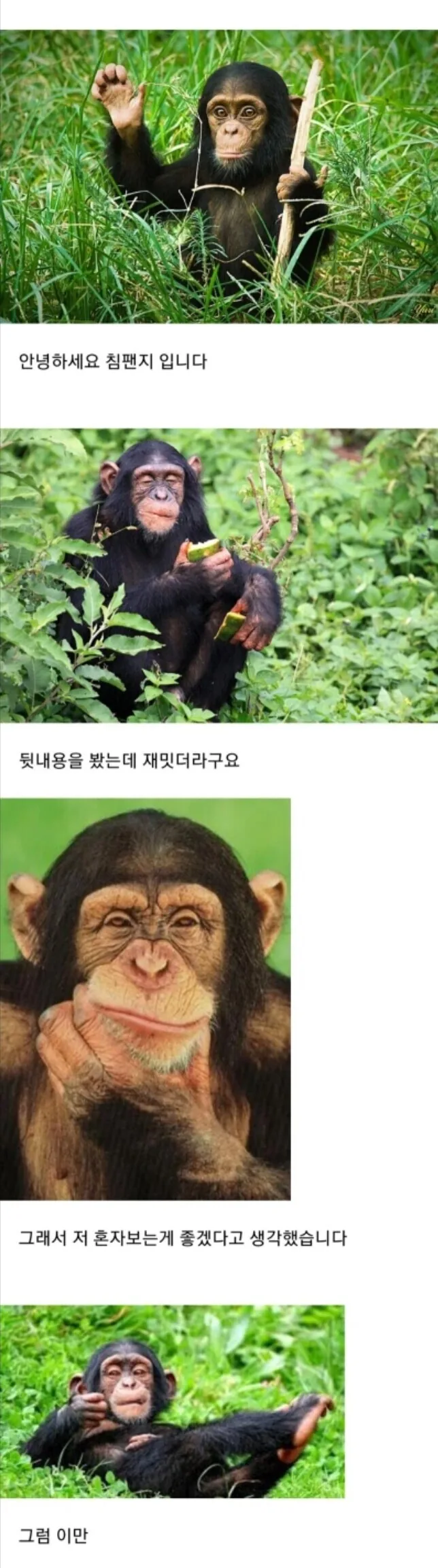 manga_1568609_012_f9e6995d560f.webp