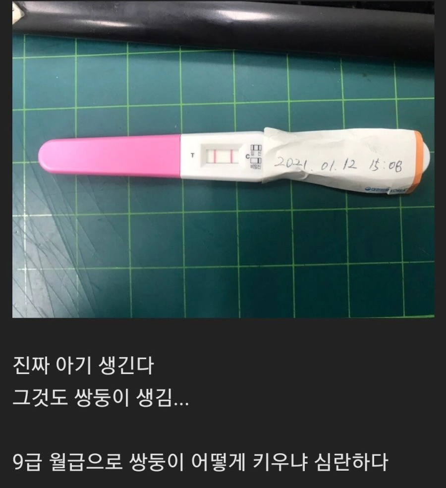 족제비와토끼) DLsite와 파트너가 된 작가.jpg 이미지 8