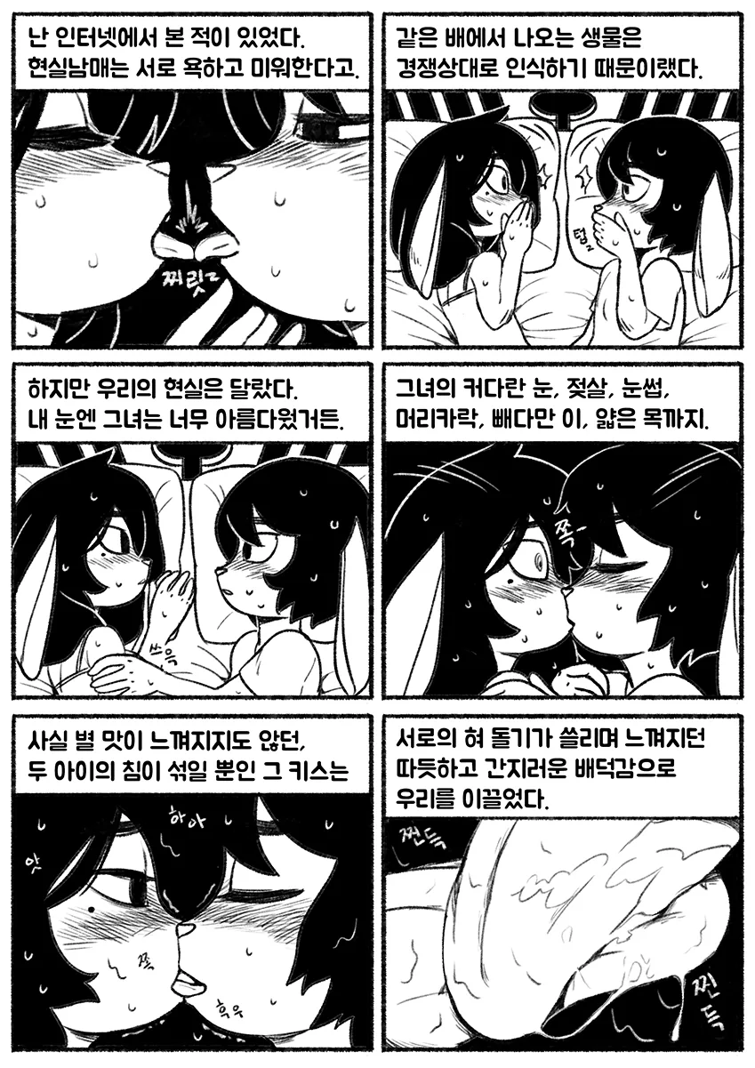 manga_2242058_002_9e13d6898896.webp
