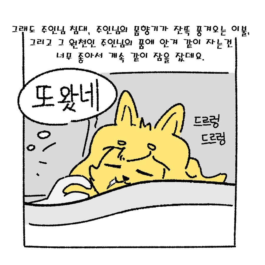 manga_2521199_012_fe2f393f020a.webp