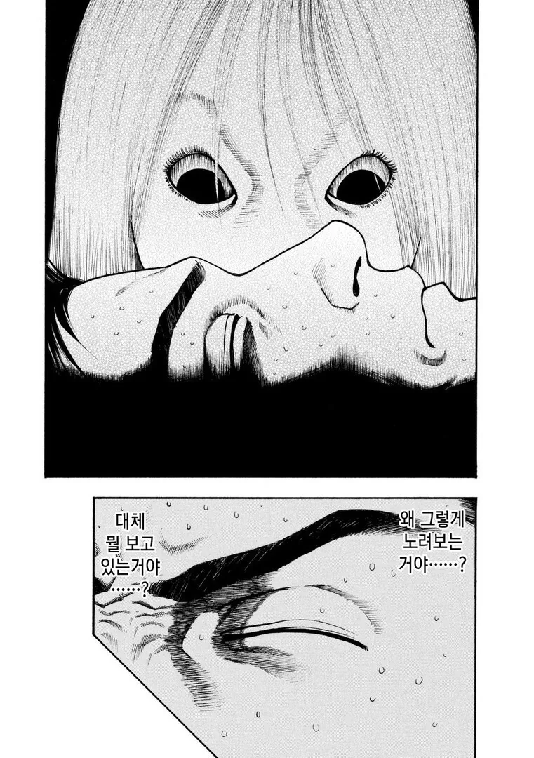 manga_2669790_003_f57fb2bf4071.webp