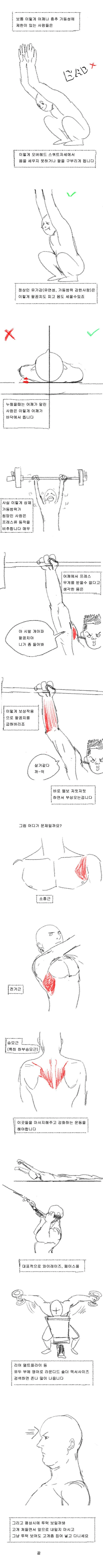 manga_2745617_002_2dc80f51313c.webp